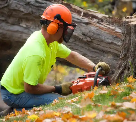 tree services Peebles